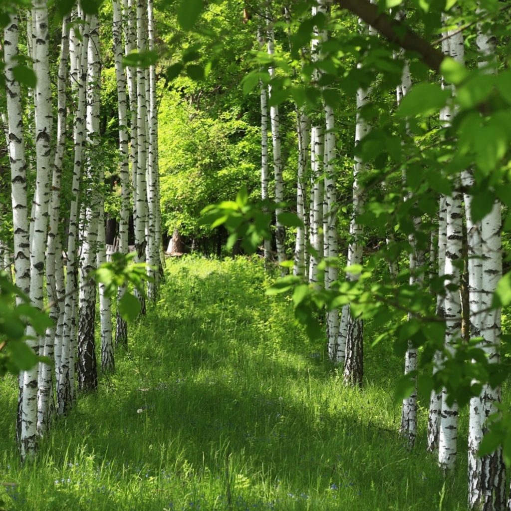 Dieses Bild hat ein leeres Alt-Attribut. Der Dateiname ist 1708012472906-1024x1024.jpg